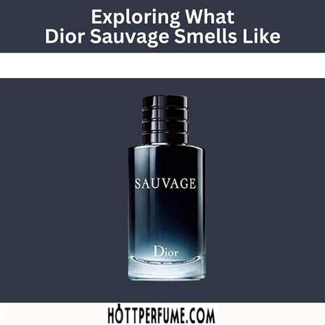 sauvage dior face|what does dior sauvage smell like.